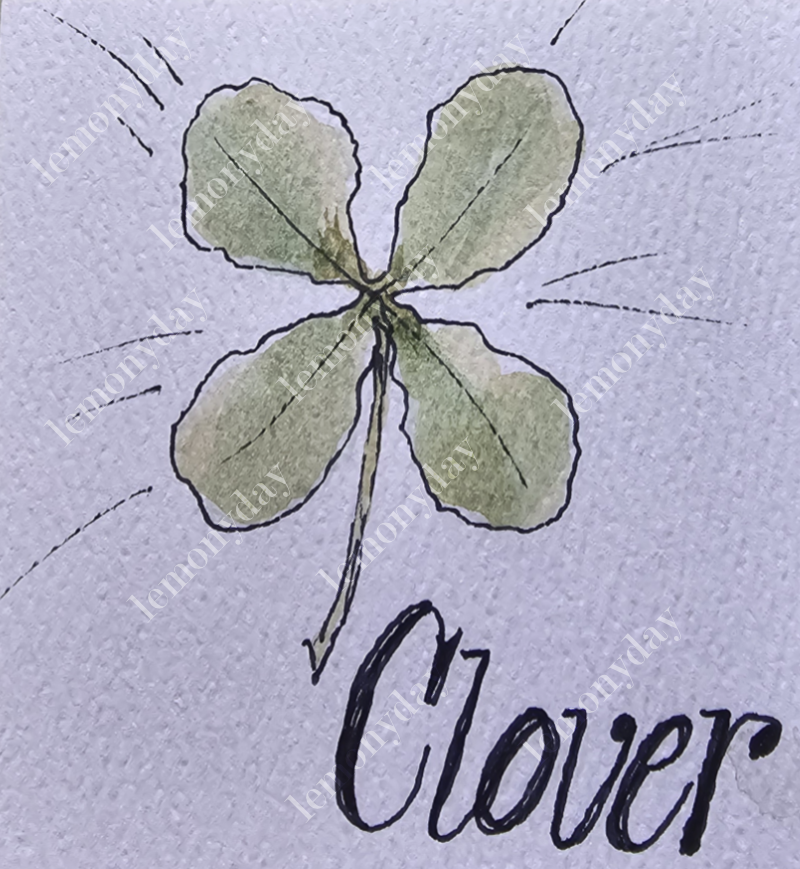 Clover