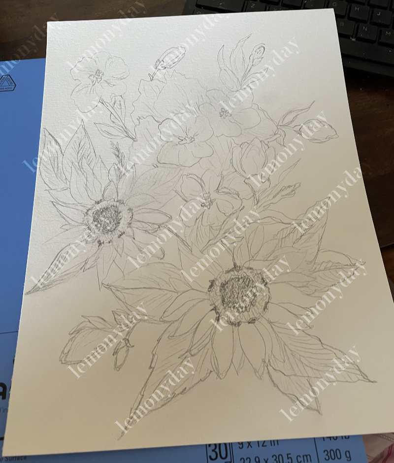 All the Flowers Concept Sketch