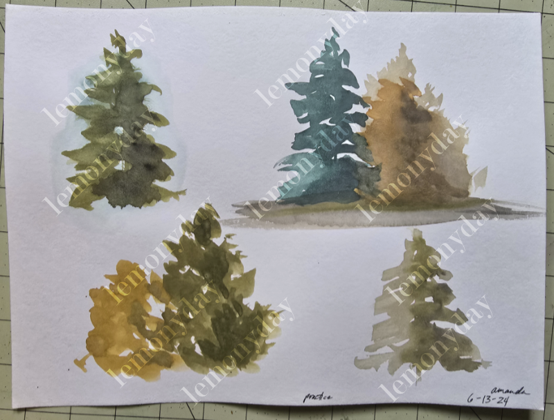 Conifer Practice