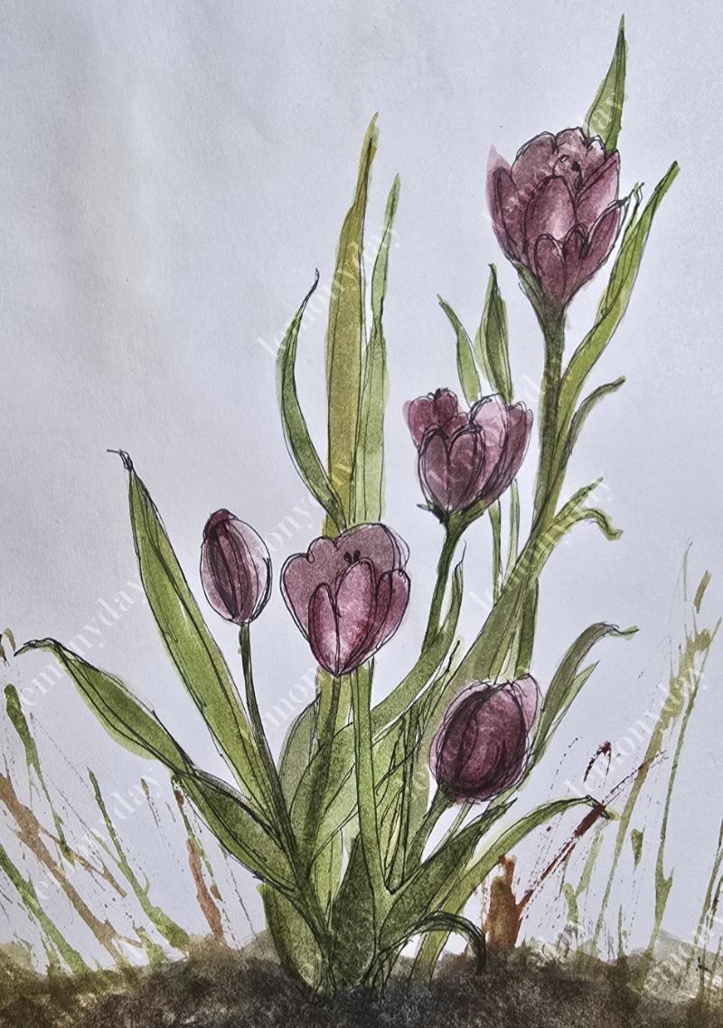 Crocus Study